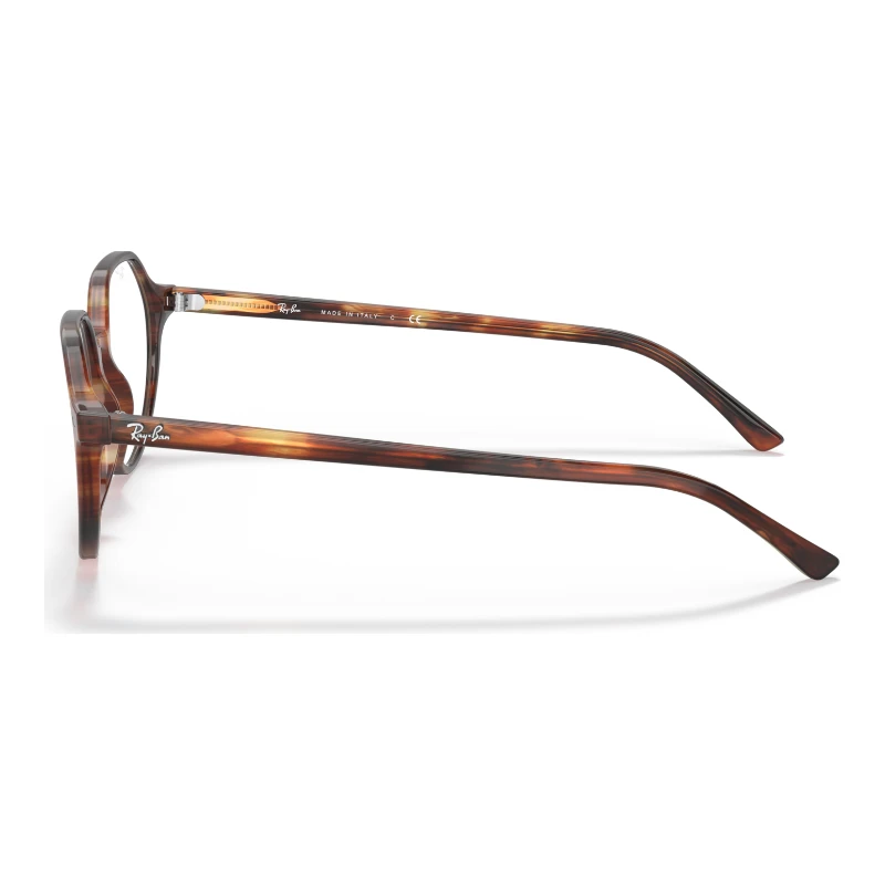 Ray-Ban RX5395 2144 49 – lunettes de vue rondes – vue de profil