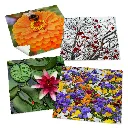 collection-microfibre-jardin-2.webp