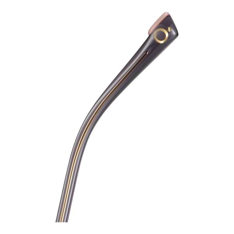 Etnia Barcelona Sajonia GYPK 54 – lunettes de vue femme – détail de la branche