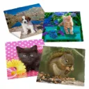 Essuie-Verres en Microfibre Kelnet (Format 18x18 cm)