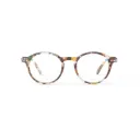 IZIPIZI #D Reading Blue Tortoise